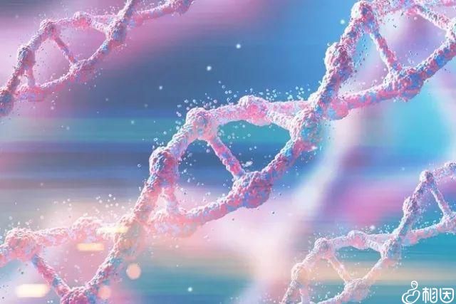40天做人流对身体伤害大吗 做人流对身体好不好
